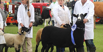 Isle Of Wight Country Show Thumbnail Isle Of Wight Country Show Thumbnail